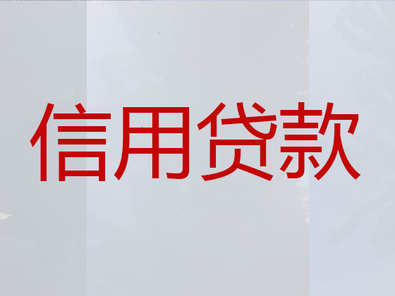 南雄市本地贷款公司